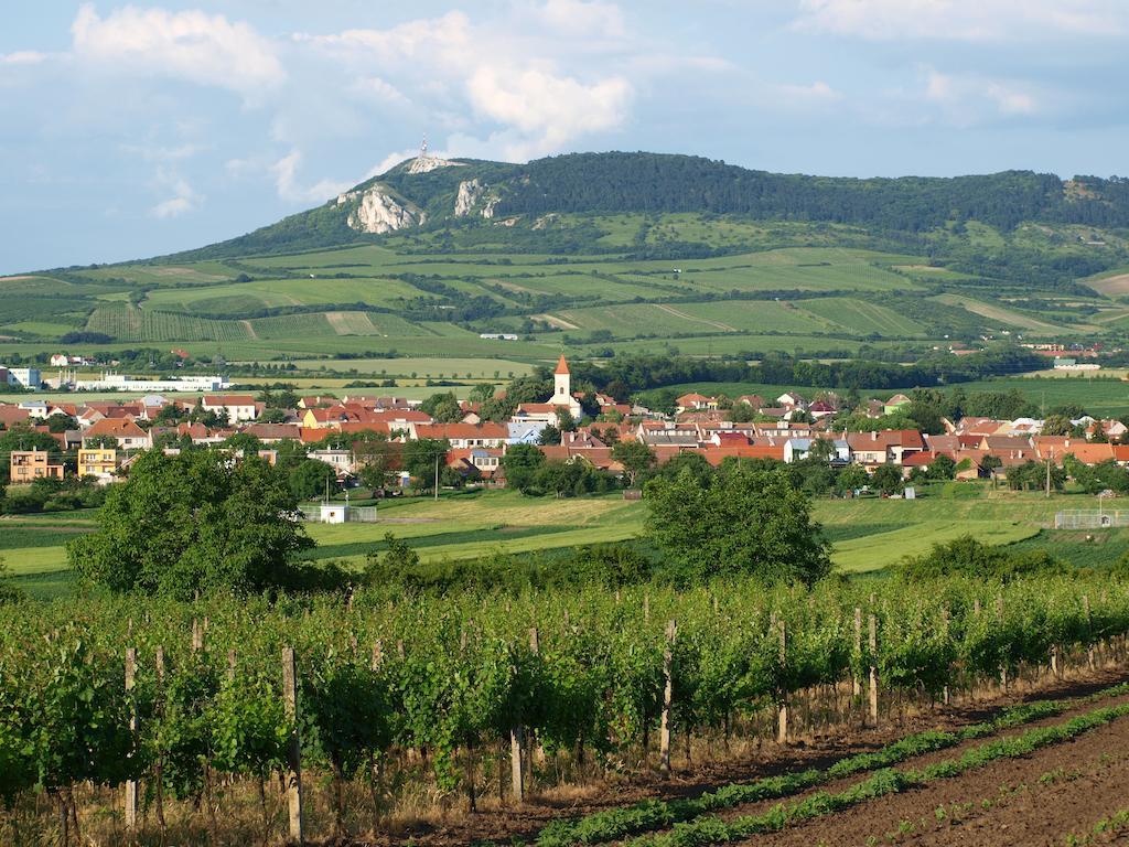 Penzion Kratochvil Dolni Dunajovice Exterior photo